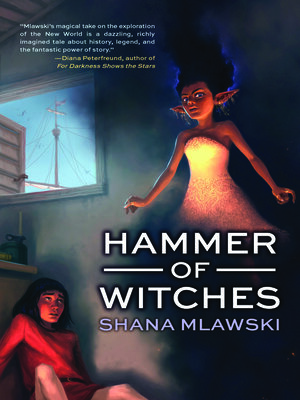 cover image of Hammer of Witches